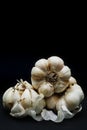 Aromatic garlic isolated on black. Royalty Free Stock Photo