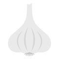 Aromatic garlic vegetable icon