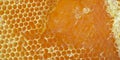 Aromatic Harmony: Honeycomb Set on a Background of Fresh Honey.
