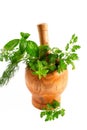 Aromatic herbs Royalty Free Stock Photo