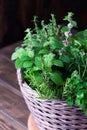 Aromatic herbs bunch, basil, mint and oregano Royalty Free Stock Photo