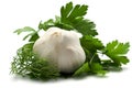 Aromatic herbs and garlic