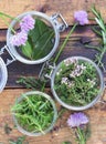 Aromatic herbs in glass jar leaf and flowers of chive