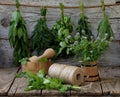 Aromatic herbs lovage, dill, cilantro, hyssop, sage, blue fenugreek, thyme Royalty Free Stock Photo