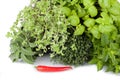 Aromatic Herbs Royalty Free Stock Photo