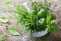 Aromatic herbs in mortar bowl. Basil, thyme, rosemary and tarragon. Fresh ingredients for cooking. Royalty Free Stock Photo