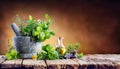 Aromatic Herbs With Mortar - Fresh Spices Royalty Free Stock Photo