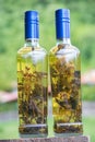 Aromatic home made and very healthy brandy Serbian Rakija with different herbs inside the bottle, perfect decorative gift