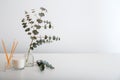 Aromatic home perfume sticks, air freshener candle and bouquet of eucalyptus branches in vase against white wall on