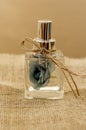 Aromatic home spray air freshener transparent with rose