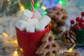 Aromatic hot winter cocoa drink with chewing marshmallows in a red cup with a straw, delicious gingerbread cookies Royalty Free Stock Photo