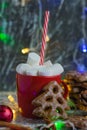 Aromatic hot winter cocoa drink with chewing marshmallows in a red cup with a straw, delicious gingerbread cookies Royalty Free Stock Photo