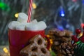 Aromatic hot winter cocoa drink with chewing marshmallows in a red cup with a straw, delicious gingerbread cookies Royalty Free Stock Photo