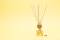 Aromatic Incense Oil Diffuser with Reed Sticks