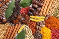 Aromatic Indian spices.