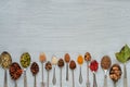 Aromatic Indian spices and herbs on metal spoons: star anise, fragrant pepper, cinnamon, nutmeg, bay leaves, paprika, clove Royalty Free Stock Photo