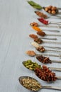 Aromatic Indian spices and herbs on metal spoons: star anise, fragrant pepper, cinnamon, nutmeg, bay leaves, paprika Royalty Free Stock Photo