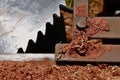 Pile of red cedar sawdust and shavings Royalty Free Stock Photo
