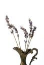 Aromatic lavender stems in a vintage vase