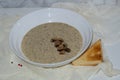 Aromatic mushroom cream soup with champignons. Fresh vegetables and freshly baked bread. A hearty and delicious lunch. Royalty Free Stock Photo