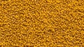 Aromatic Mustard Seed Spice Horizontal Background.
