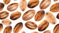 Aromatic Nutmeg Spice Horizontal Seamless Background.