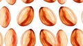 Aromatic Nutmeg Spice Horizontal Seamless Background.