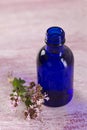 Aromatic oregano essential oil