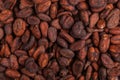 Aromatic raw cocoa beans background. Top view. Close up Royalty Free Stock Photo