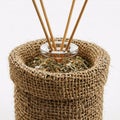 Aromatic reed diffuser in a burlap-wrapped glass bottle, isolated on a white background Royalty Free Stock Photo