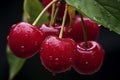 Aromatic Ripe cherry. Generate Ai