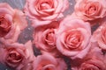 Aromatic Rose pink drops closeup. Generate Ai