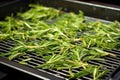 aromatic rosemary sprigs on the edges of the grill pan