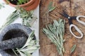 Aromatic sage leaves herbs at kitchen Royalty Free Stock Photo