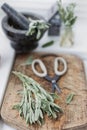 Aromatic sage leaves herbs at kitchen Royalty Free Stock Photo