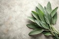 Aromatic sage leaves on textured surface culinary and medicinal herb. Generative AI Royalty Free Stock Photo