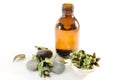 Aromatic spa oil Royalty Free Stock Photo