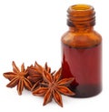 Aromatic star anise with essential oil