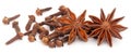 Aromatic star anise with fresh cloves