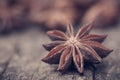 Aromatic star anise Royalty Free Stock Photo