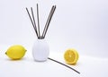 Aromatic sticks for home in white ceramic vase. Royalty Free Stock Photo