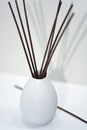 Aromatic sticks for home in white ceramic vase. Royalty Free Stock Photo