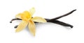 Aromatic vanilla sticks and flower on white