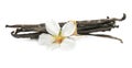 Aromatic vanilla sticks and flower Royalty Free Stock Photo