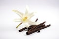Aromatic vanilla sticks with a flower on a white background
