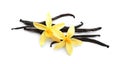 Aromatic vanilla sticks and flowers