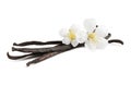 Aromatic vanilla sticks and flowers on white Royalty Free Stock Photo