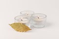 Aromatic white candle made from wax, decorate by green leaves on the white background Royalty Free Stock Photo