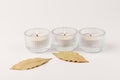 Aromatic white candle made from wax, decorate by green leaves on the white background Royalty Free Stock Photo