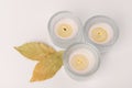 Aromatic white candle made from wax, decorate by green leaves on the white background Royalty Free Stock Photo